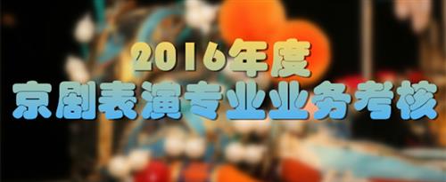 小骚货网站国家京剧院2016年度京剧表演专业业务考...